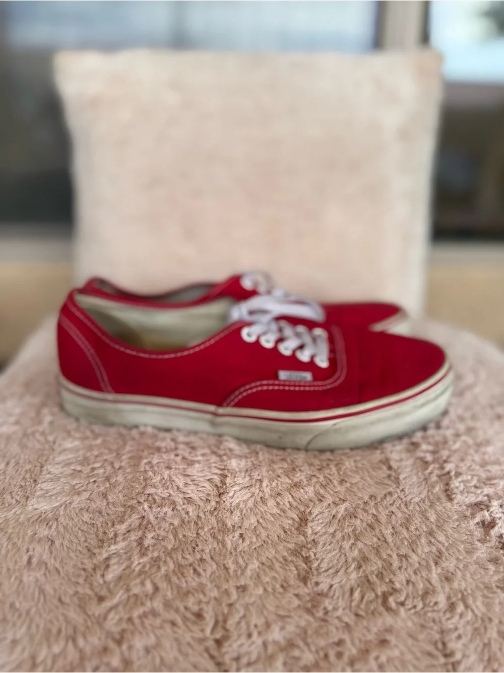 Vans Red Canvas Low-Top Sneakers